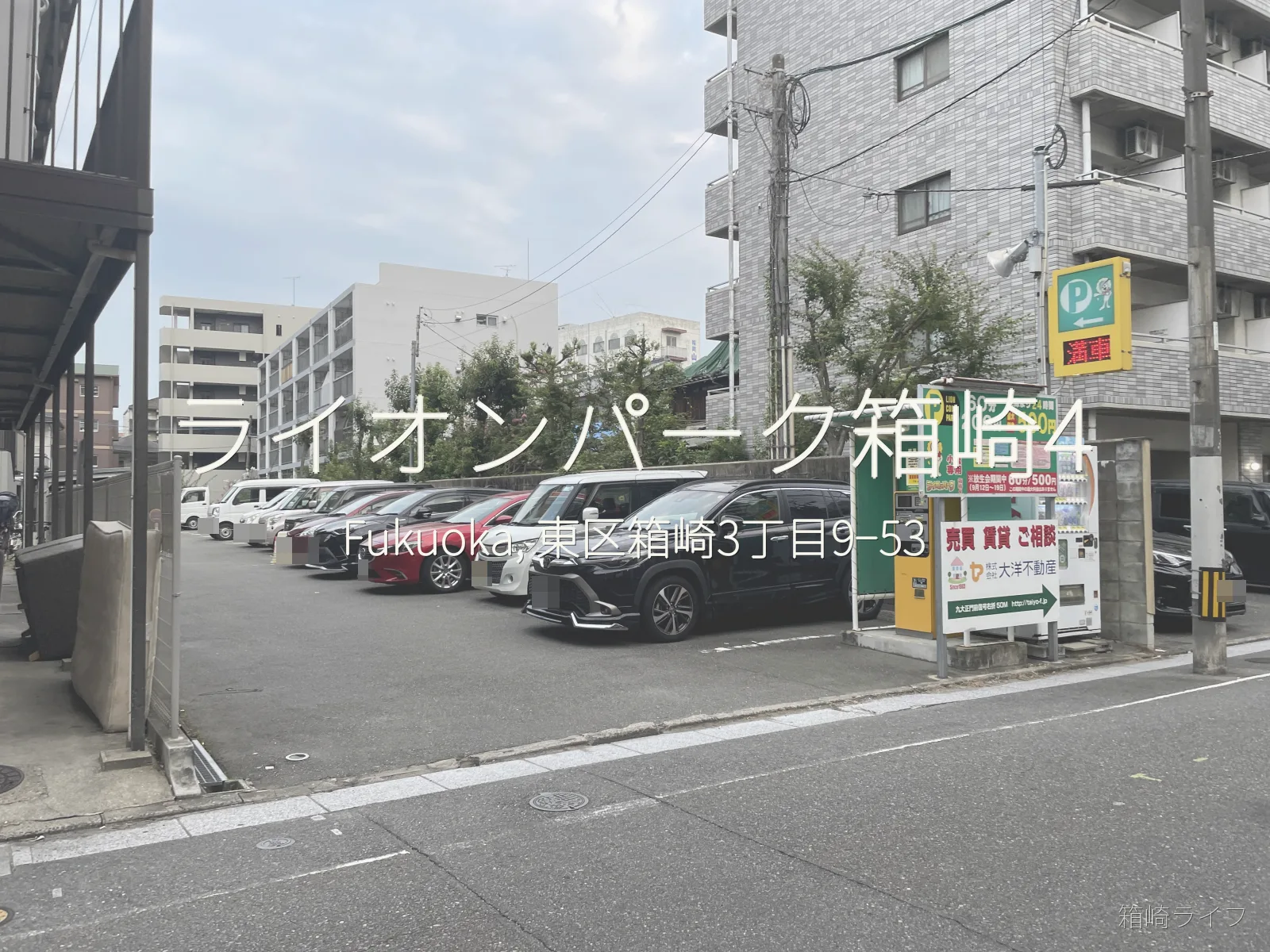 ライオンパーク箱崎4の写真