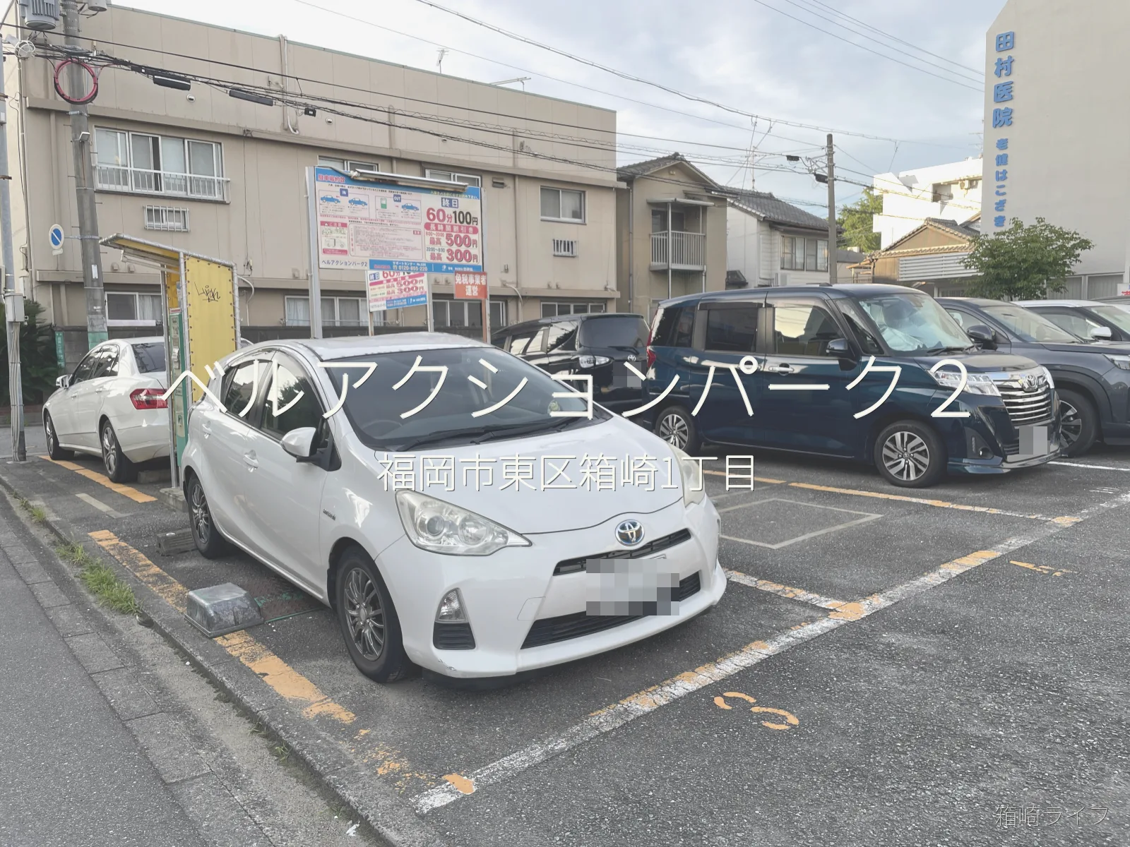 ベルアクションパーク２の写真