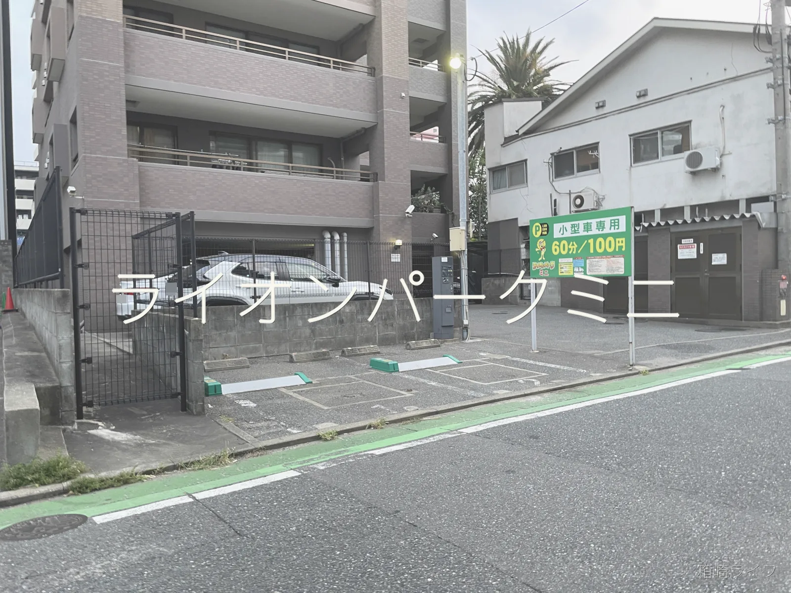 ライオンパークミニの写真