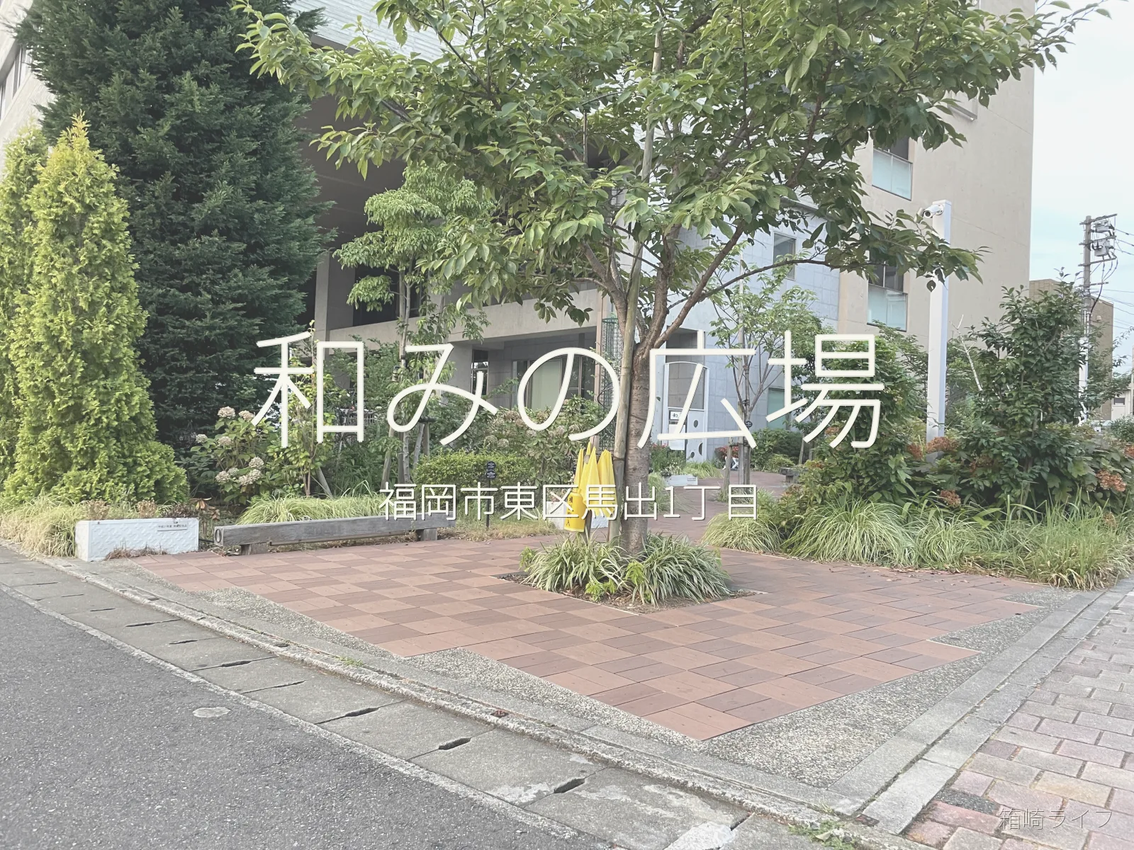 和みの広場の写真