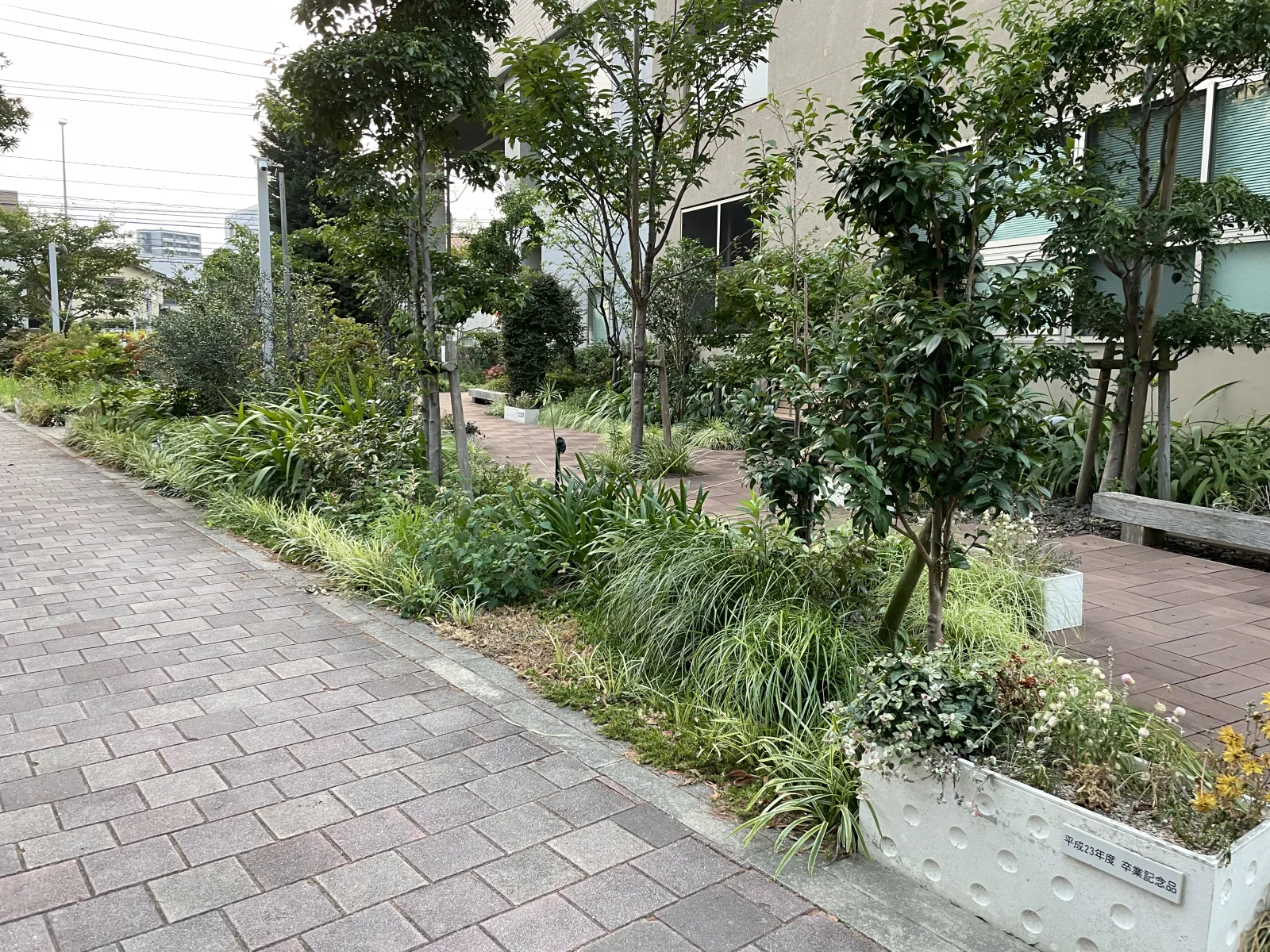 和みの広場のその他写真