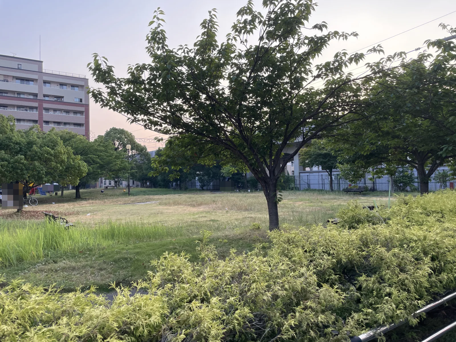 馬出御所ノ内公園のその他写真