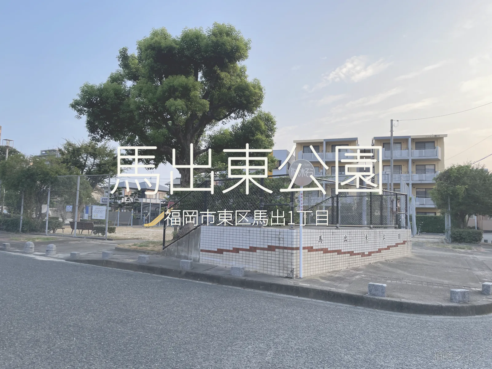 馬出東公園の写真