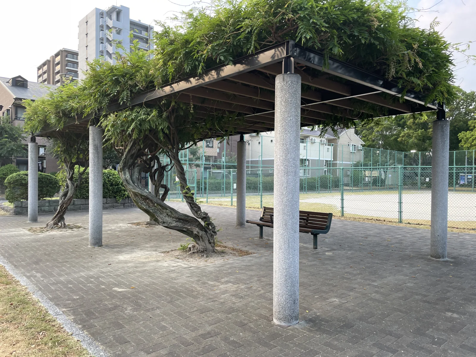 東公園（球技広場・幼児コーナー）の設備・遊具写真