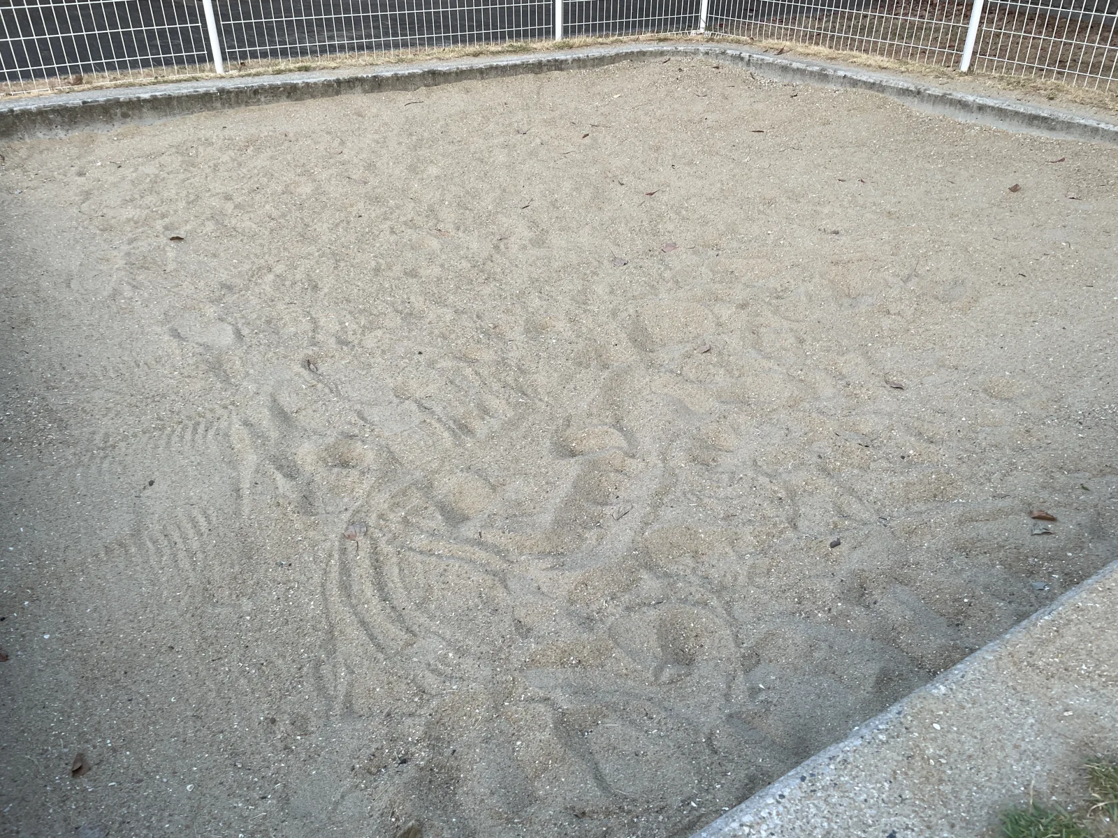 東公園（球技広場・幼児コーナー）の設備・遊具写真