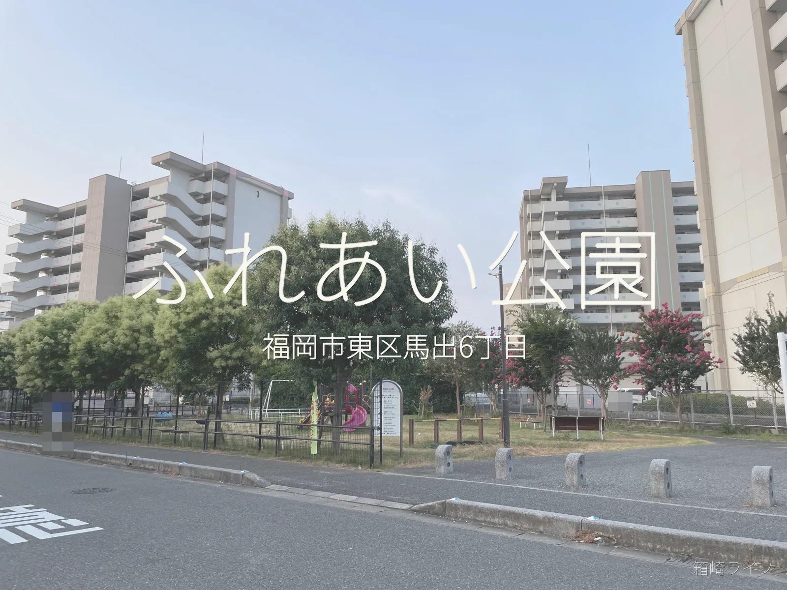 ふれあい公園の写真