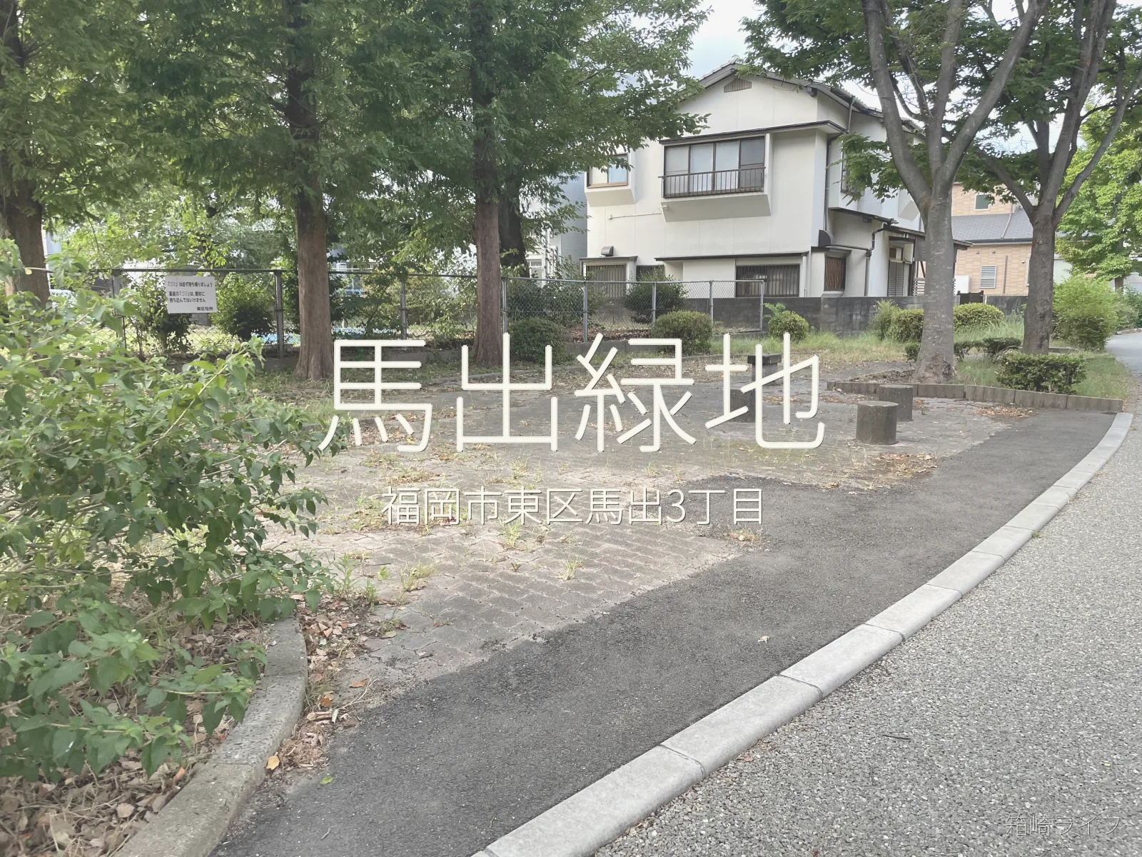 馬出緑地の写真
