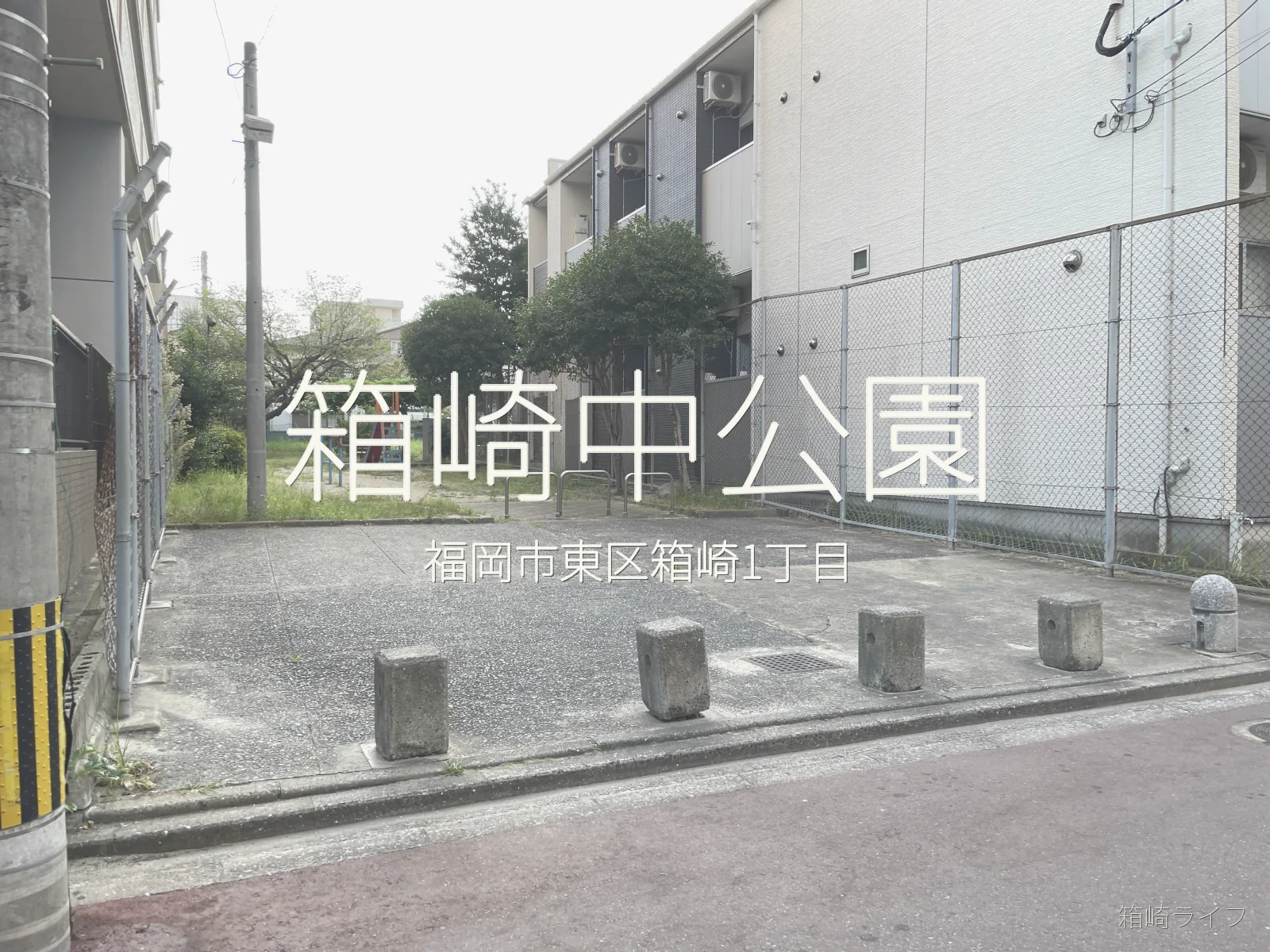 箱崎中公園の写真