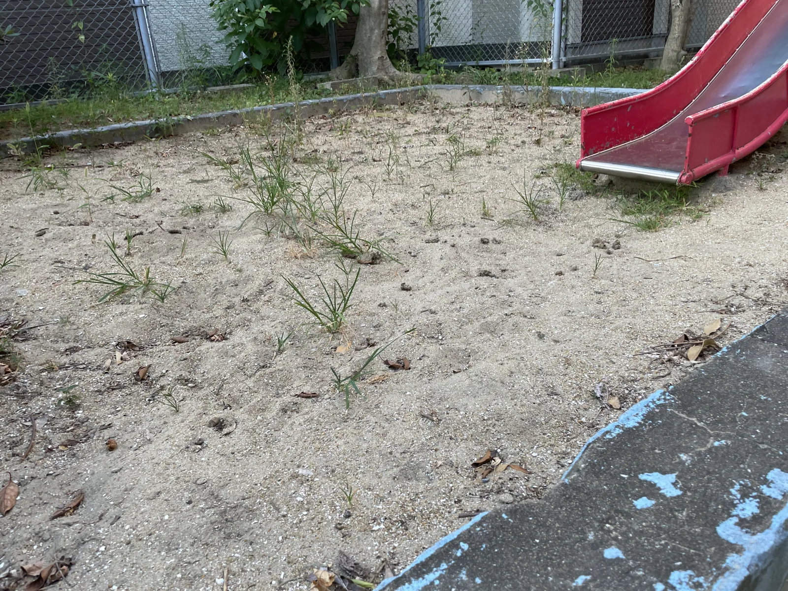 箱崎中公園の設備・遊具写真