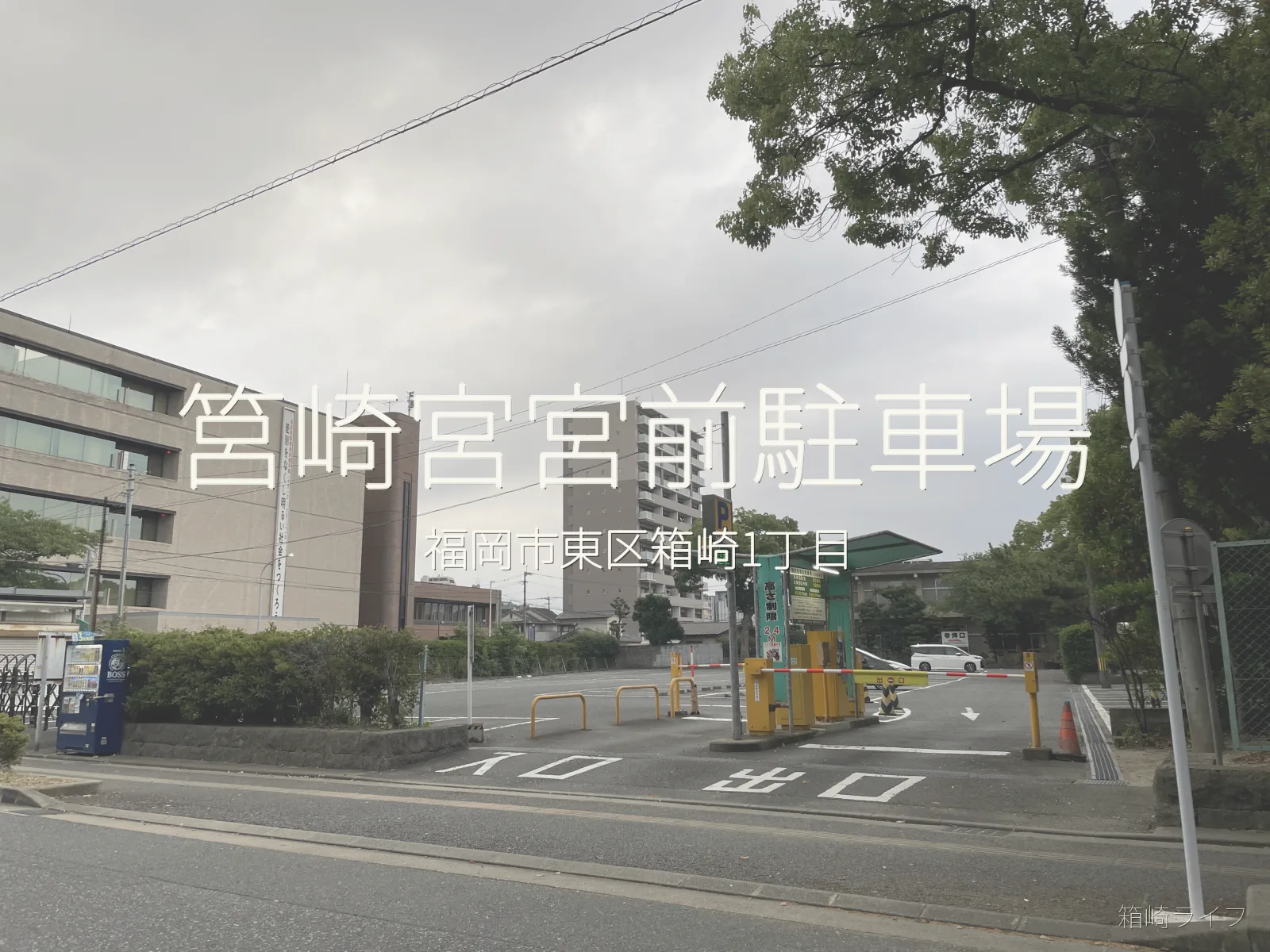 筥崎宮の初詣駐車場と年末年始料金｜徒歩5分・10分で比較の写真