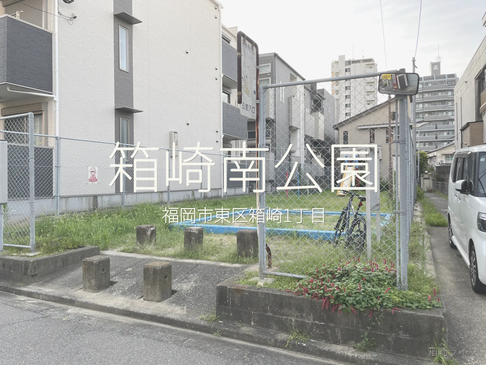 箱崎南公園の写真