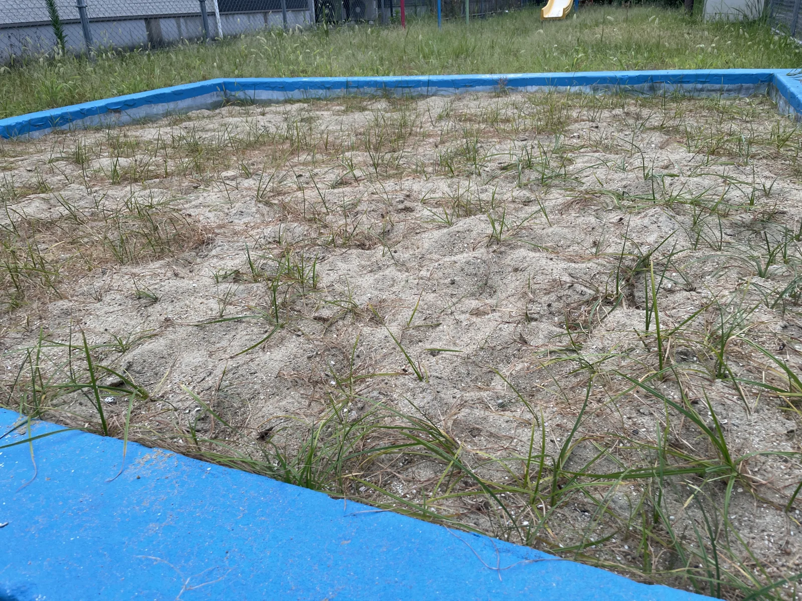 箱崎南公園の設備・遊具写真