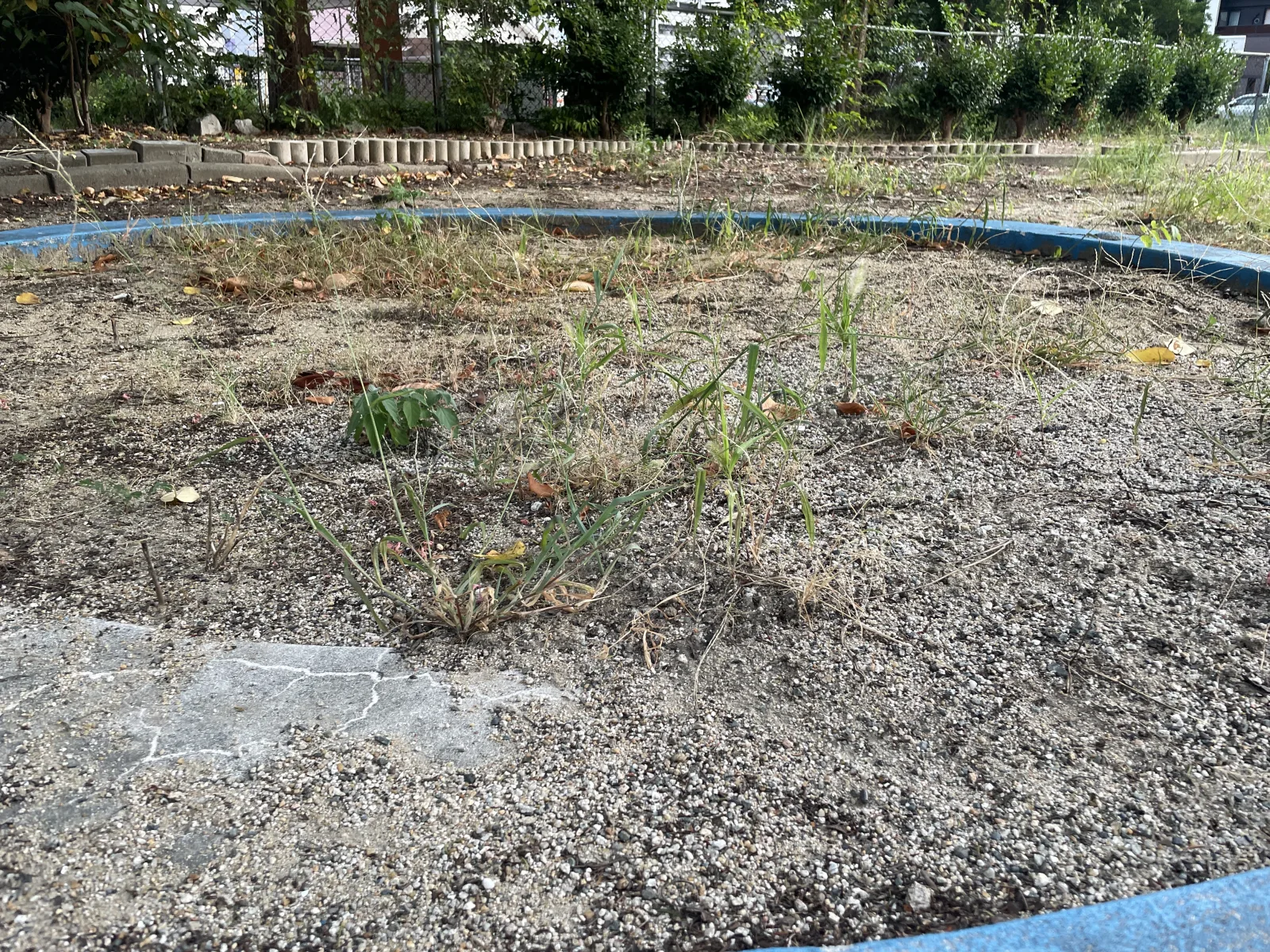 馬出1号公園の設備・遊具写真