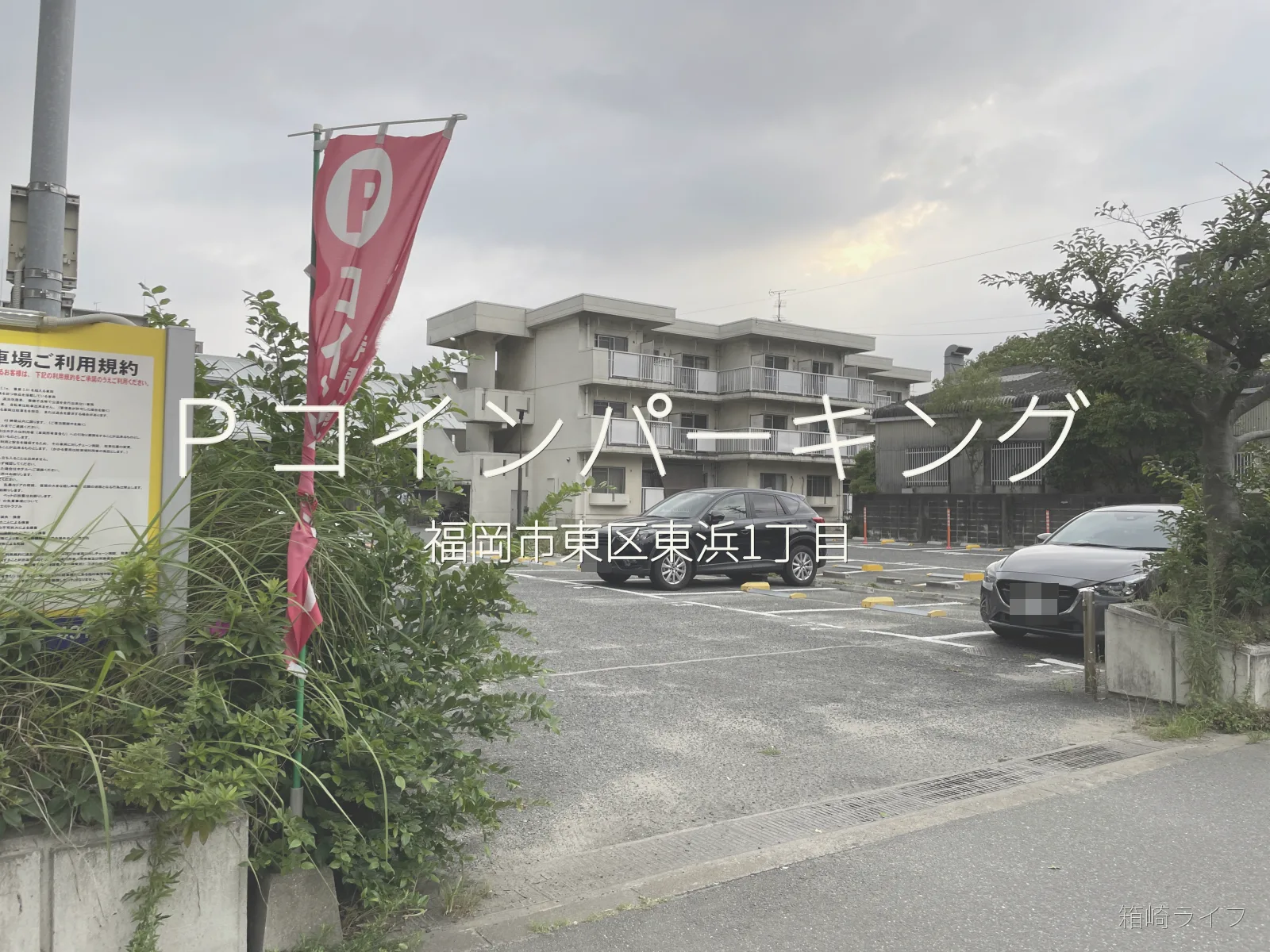 Ｐコインパーキングの写真